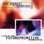 Flight Of The Bumblebee by Cut Chemist Meets Shortkut