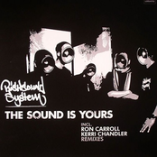 risksoundsystem