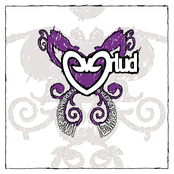 Von großen Hürden und kleinen Romanzen