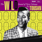 The Wild Sound Of New Orleans By Tousan
