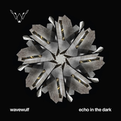 Echo In The Dark - Single