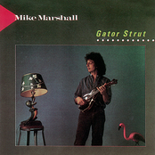 Mike Marshall: Gator Strut