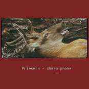 Cheap Phone (2003)