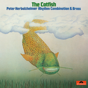 Head Egg by Peter Herbolzheimer Rhythm Combination & Brass