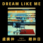 Crowd Lu: DREAM LIKE ME