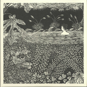 Mudd: In The Garden Of Mindfulness