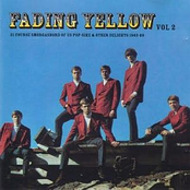 Fading Yellow vol 2