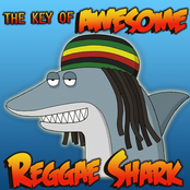Reggae Shark