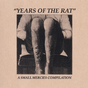 Years Of The Rat