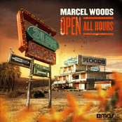 Champagne Dreams (w&w Remix) by Marcel Woods