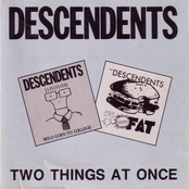 Ride The Wild by Descendents