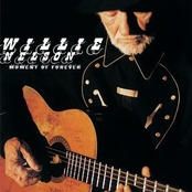 Keep Me From Blowing Away by Willie Nelson