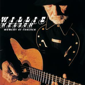 Gotta Serve Somebody by Willie Nelson