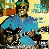 Tryna Get Along by T-bone Singleton