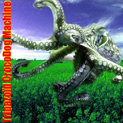 Fascist Death Ritual