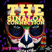 The Sinaloa Connection