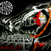 Who Will Bury The Last One