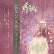 Old Mooncurse