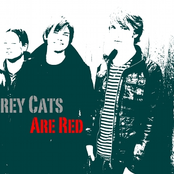 grey cats are red