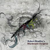 Love You In The Daytime by Robert Bradley's Blackwater Surprise