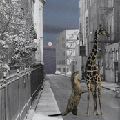 Not Everyone is Loved