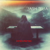 Introspection