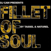 Fillet of Soul