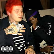 Yayo