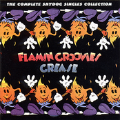 Do I Love You by Flamin' Groovies