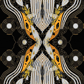 DJ Stingray & Skee Mask Remixes