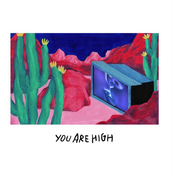 Agar Agar: You're High