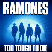 Chasing The Night by Ramones