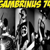 Gambrinus 74