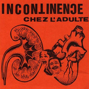 Incontinence Chez L'Adulte