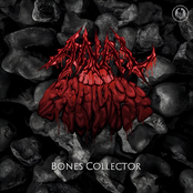Bones Collector