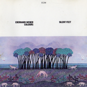 Silent Feet