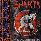 The Enlightened Ape by Shakta