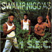 Swamp Nigg'as