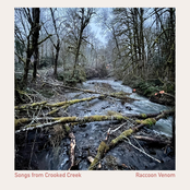 Songs from Crooked Creek