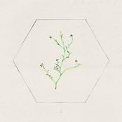 BILO I (10th Anniversary Remaster)