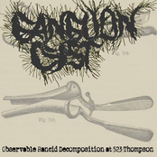 Observable Rancid Decomposition at 523 Thompson