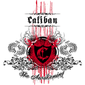 I Will Never Let You Down by Caliban