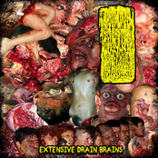 Extensive drain brains
