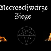 necroschwärze ziege