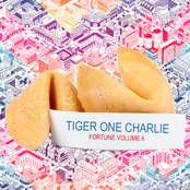 Fortune, Vol. II