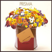 Antares by Prisma
