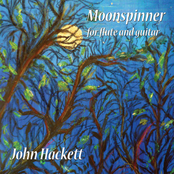 Windhover by John Hackett