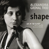 Shape - Live at the Sunset
