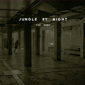 To Sugar A Dream by Jungle By Night