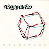 Looney Toons by Yo La Tengo